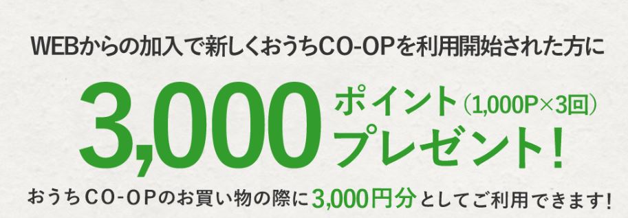 おうちコープ3000ポイント画像